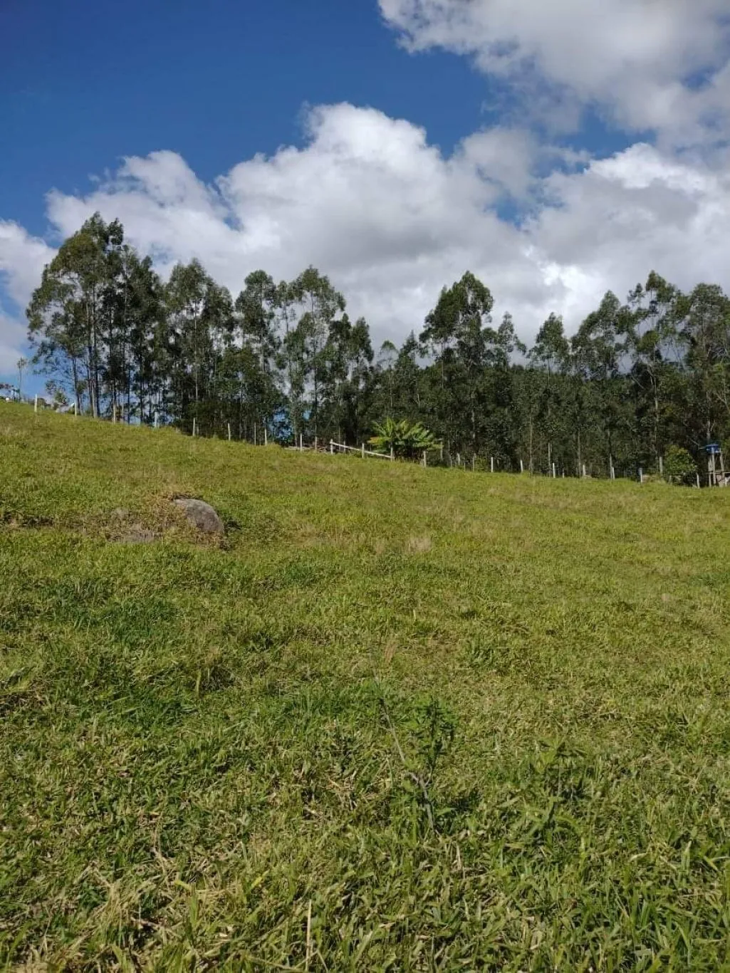 Imóvel — foto 7