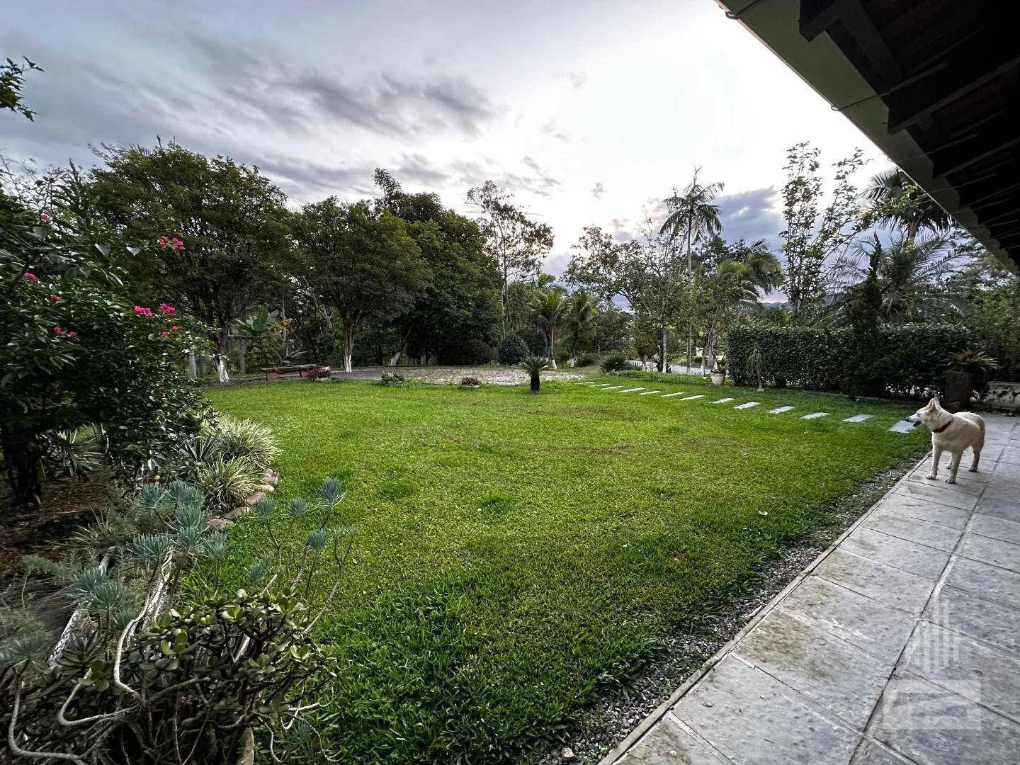 Incrível Sítio à Venda com Área de 32 mil m no bairro Macuco em Gaspar — foto 5