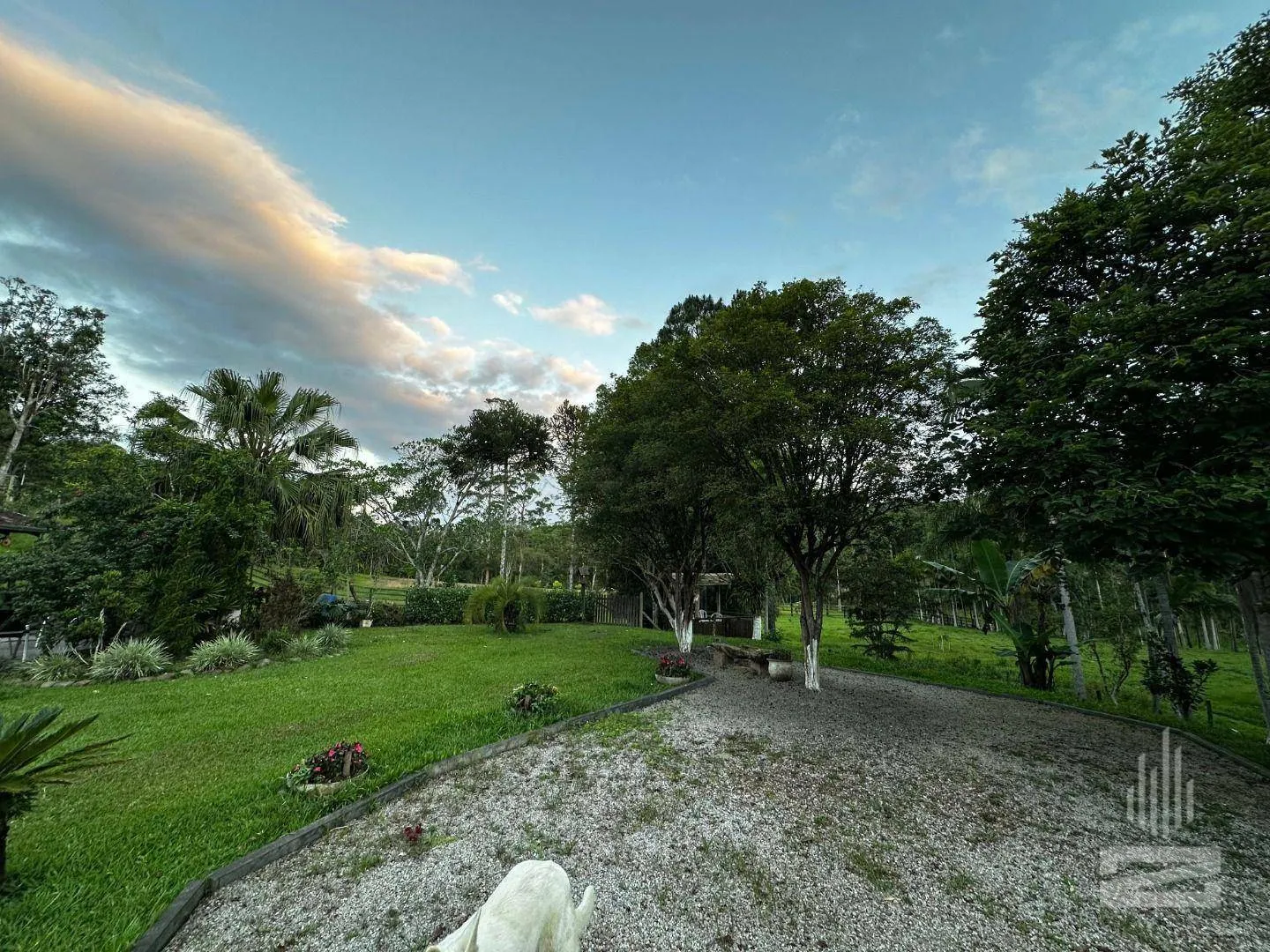 Incrível Sítio à Venda com Área de 32 mil m no bairro Macuco em Gaspar — foto 7