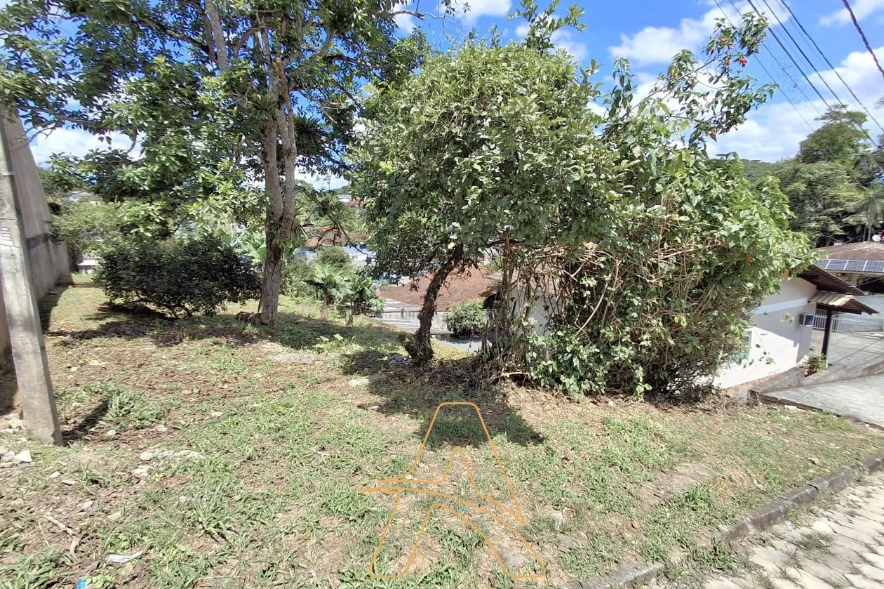 TERRENO RESIDENCIAL NO BAIRRO ITOUPAVAZINHA — foto 3