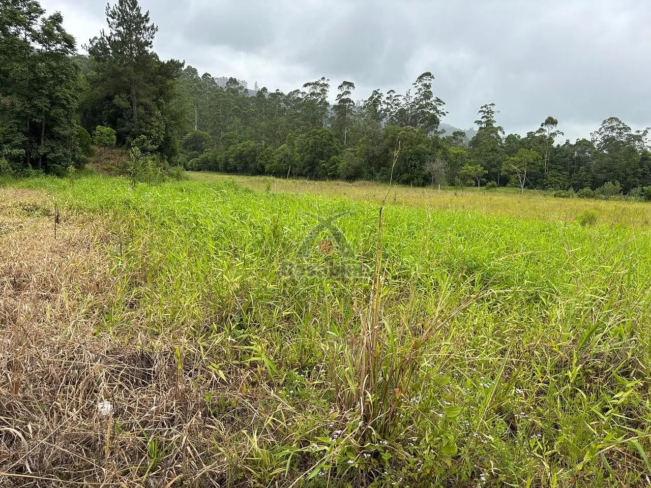 Terrenos Witmarsun — foto 2