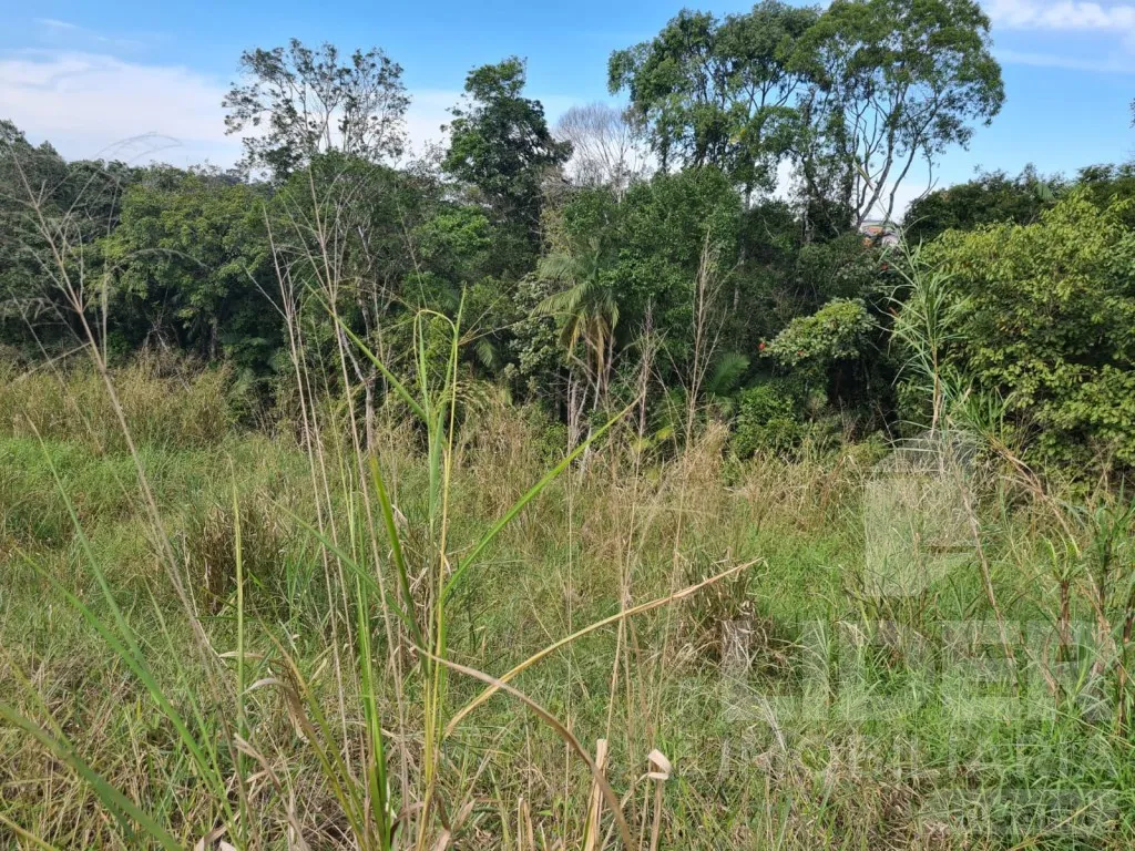 Terreno com 413,76m no Bairro João Paulo II — foto 4