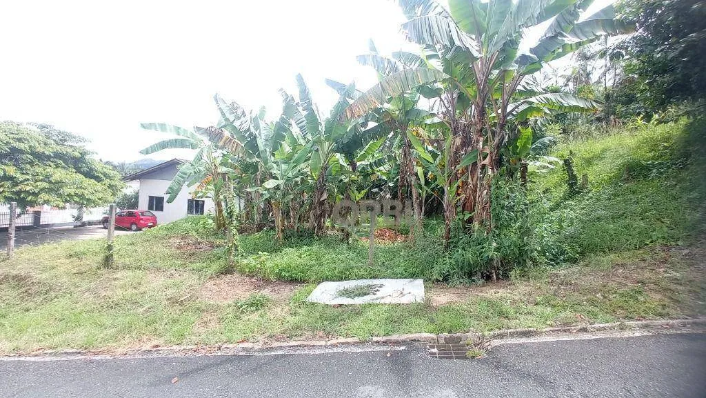 Terreno à venda, 450 m por R$ 300.000,00 - Bela Vista - Gaspar/SC — foto 3