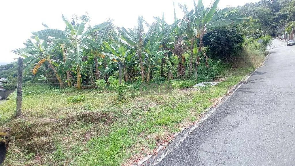 Terreno à venda, 450 m por R$ 300.000,00 - Bela Vista - Gaspar/SC — foto 5