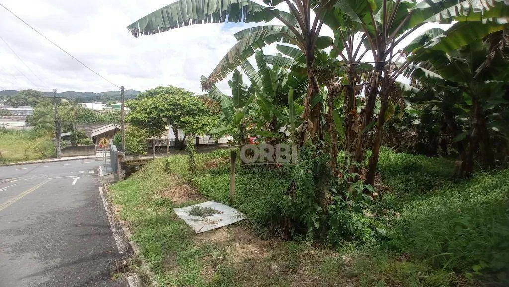 Terreno à venda, 450 m por R$ 300.000,00 - Bela Vista - Gaspar/SC — foto 6