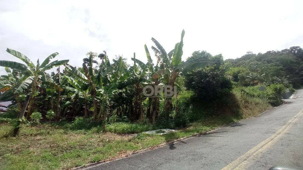 Terreno à venda, 450 m por R$ 300.000,00 - Bela Vista - Gaspar/SC — foto 7