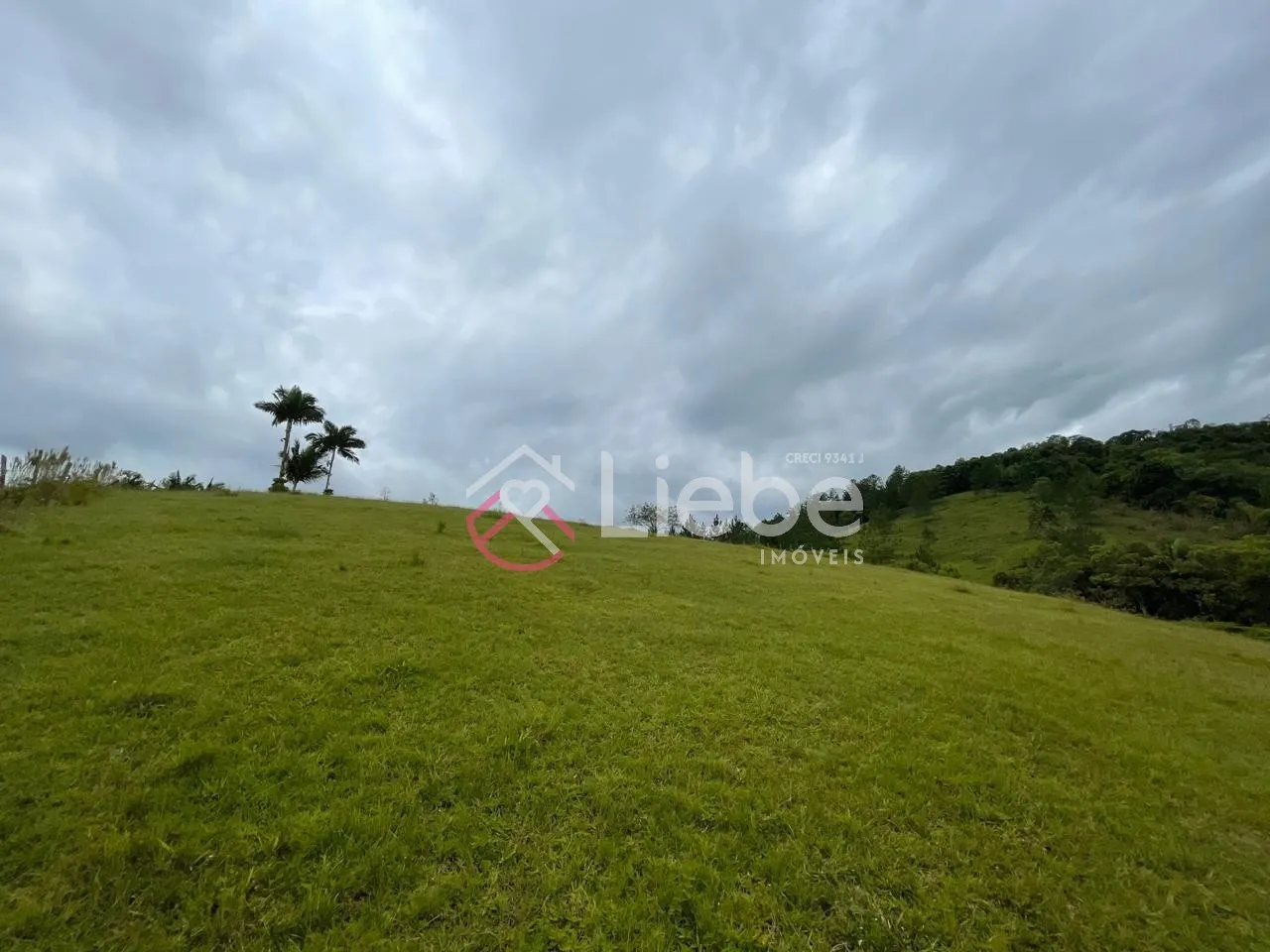 Lindo terreno na Rota do Enxaimel em Testo Alto na cidade de Pomerode com 2.242,00m e 59,00m de frente. — foto 4
