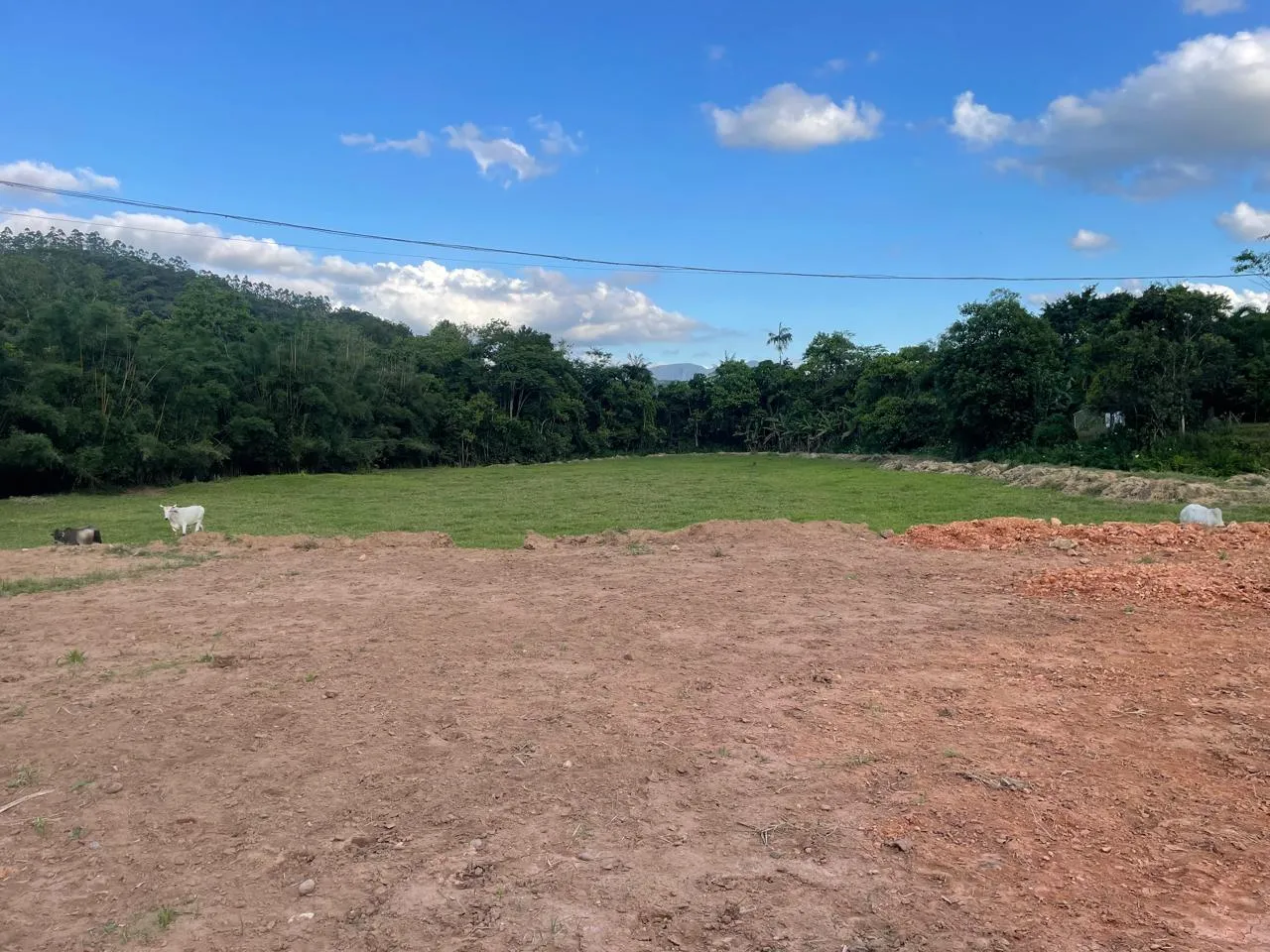 Sítio para Venda em Ascurra, Guaricanas — foto 6