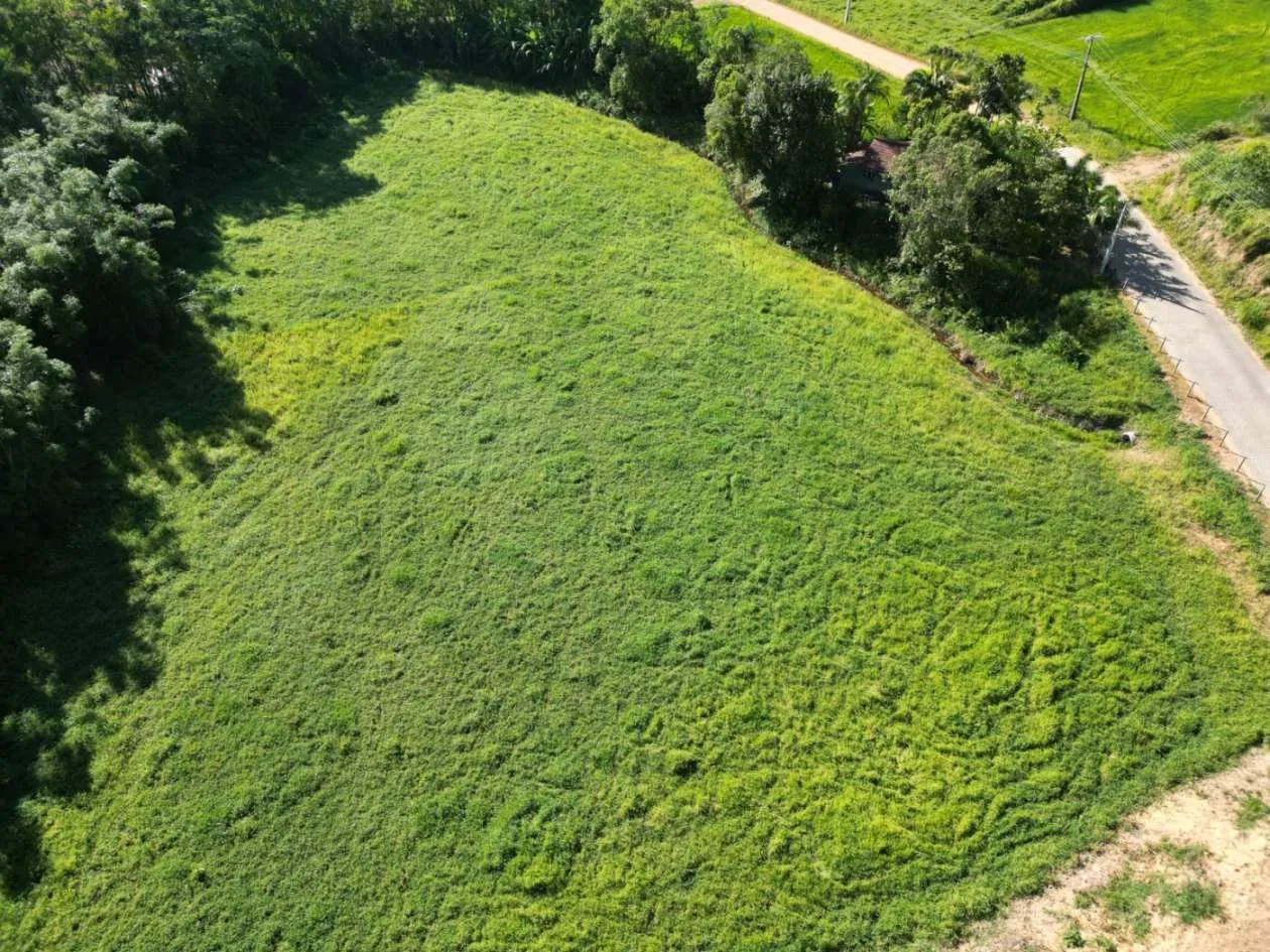 Sítio para Venda em Ascurra, Guaricanas — foto 3