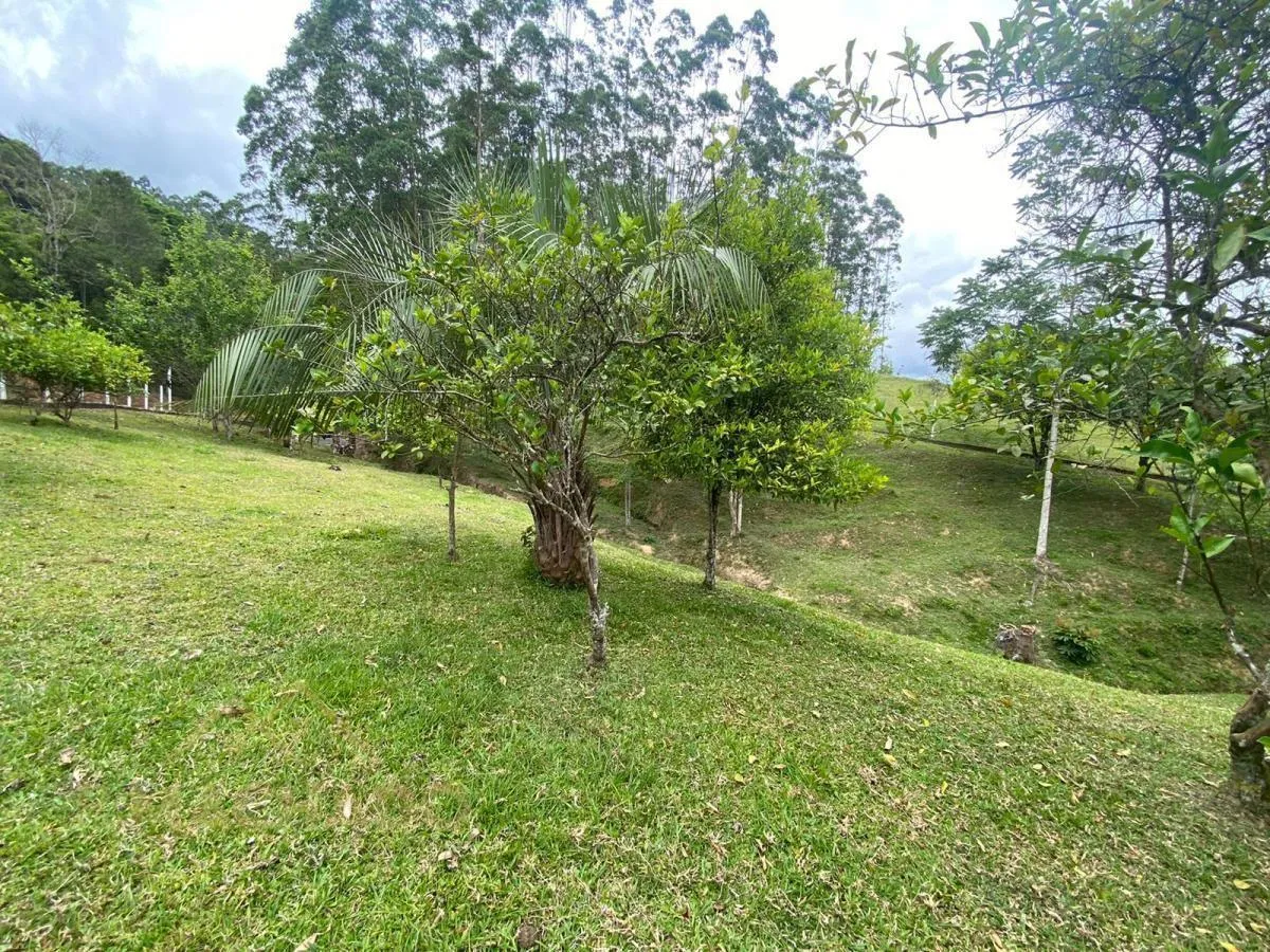 Sítio para Venda em Apiúna — foto 4