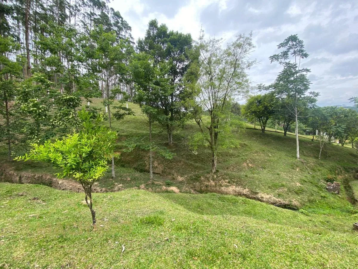 Sítio para Venda em Apiúna — foto 5