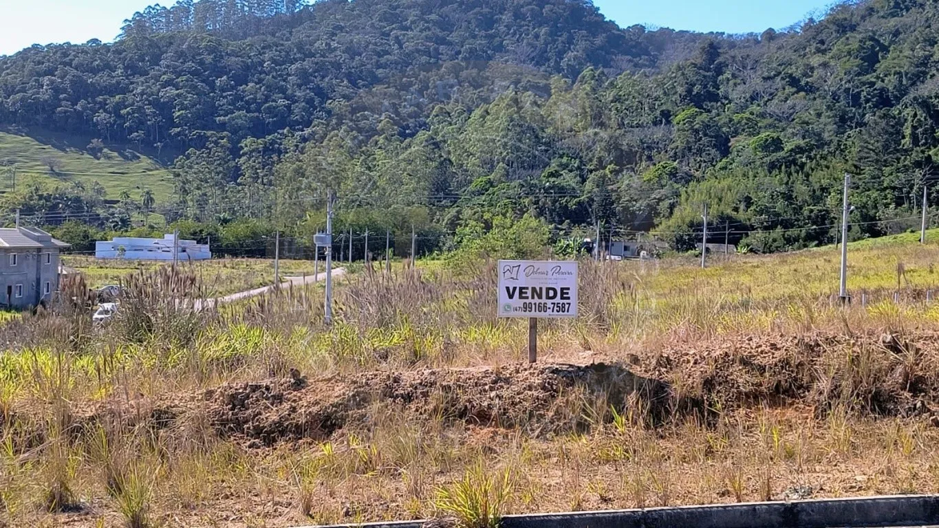 Oportunidade imperdível: terreno plano, livre de enchentes, maior que os lotes padrão e com localização estratégica, perfeito para o seu próximo projeto. - foto 1