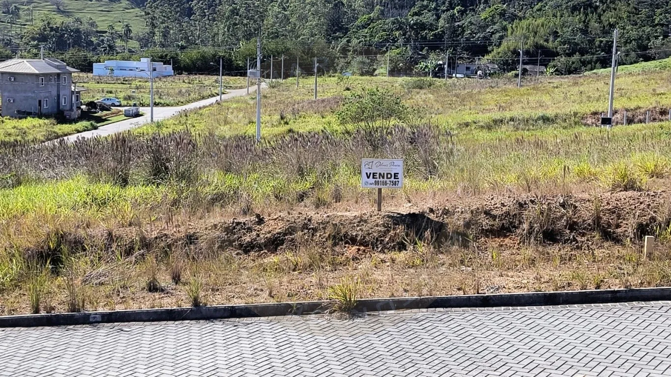 Oportunidade imperdível: terreno plano, livre de enchentes, maior que os lotes padrão e com localização estratégica, perfeito para o seu próximo projeto. — foto 5
