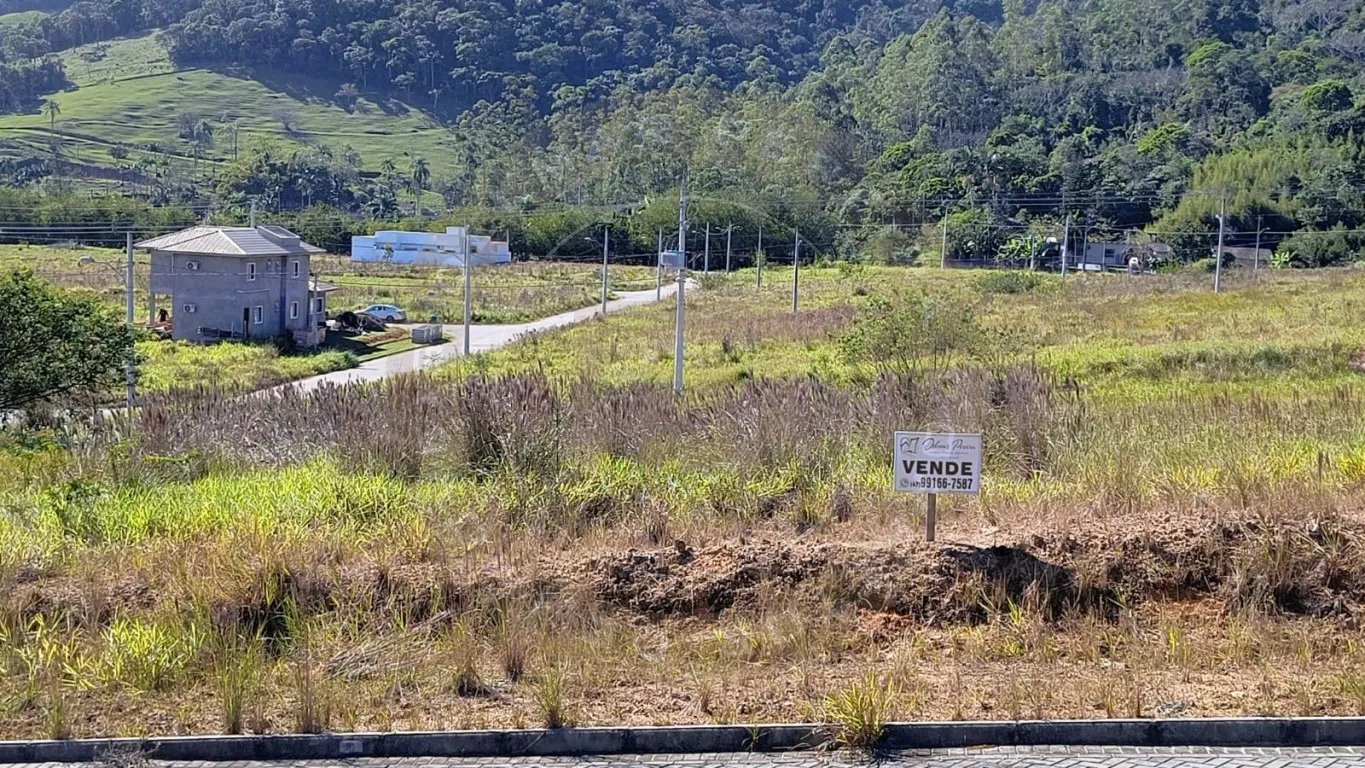 Oportunidade imperdível: terreno plano, livre de enchentes, maior que os lotes padrão e com localização estratégica, perfeito para o seu próximo projeto. — foto 6