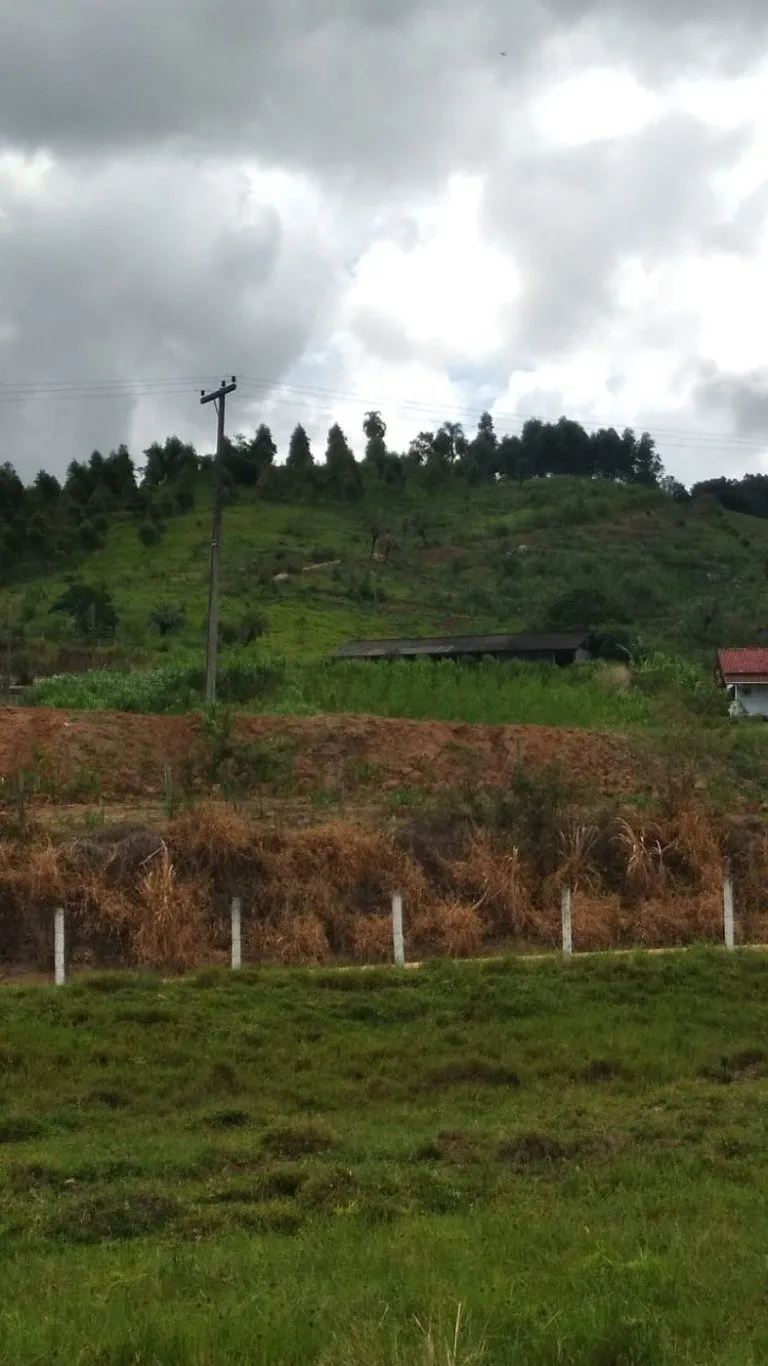 Imóvel — foto 6