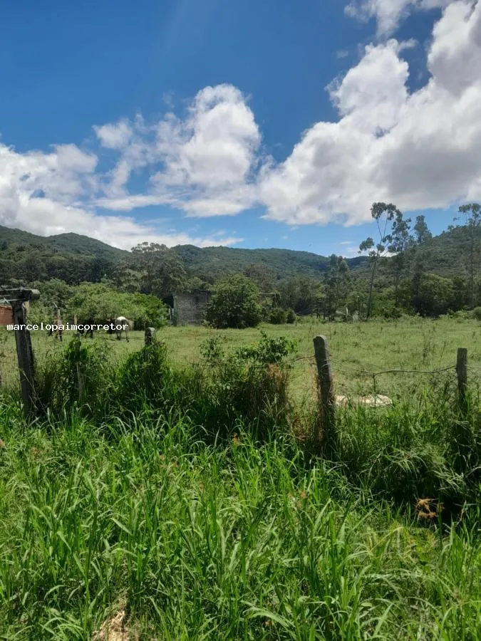 Imóvel Rural à venda com 3 quartos, 1 vaga, 5280m² na Rua Bento Manoel Ferreira no Ratones, Florianópolis — foto 4