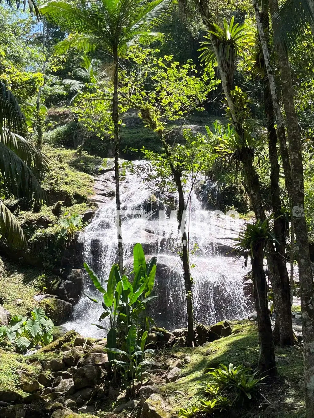 Um Paraíso Natural à Sua Espera - foto 1