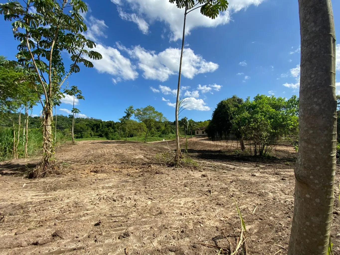 Terreno para Mini Sitio — foto 4