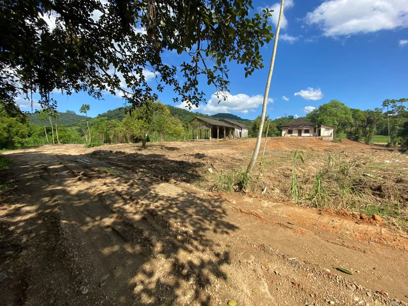 Terreno para Mini Sitio — foto 5