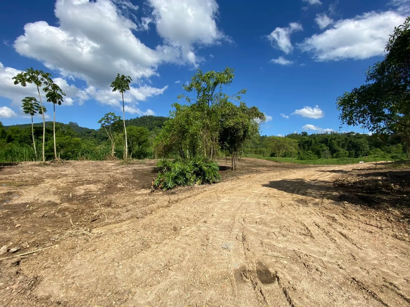 Terreno para Mini Sitio — foto 6