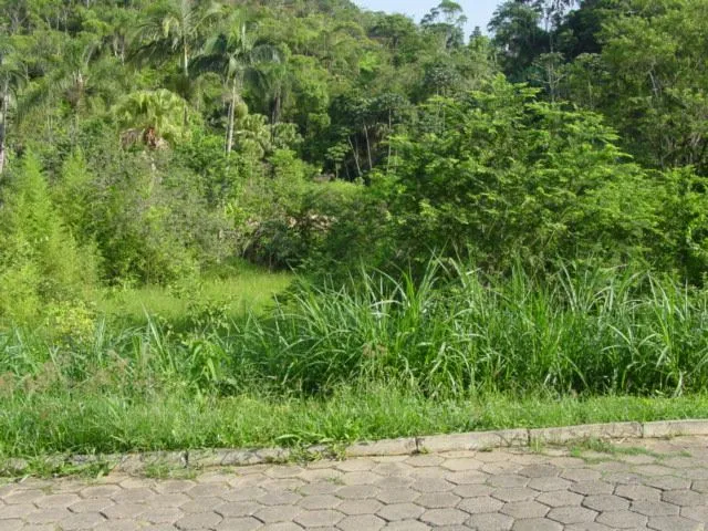 Terreno à venda com 420 m no Fidélis! — foto 2