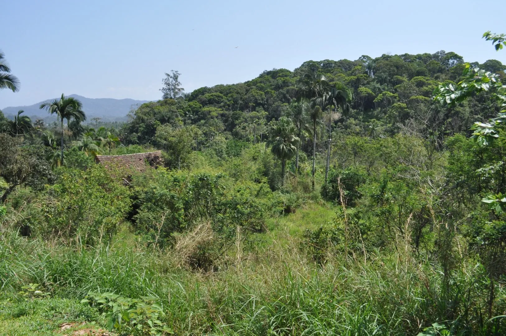 Terreno à venda com 420 m no Fidélis! — foto 3