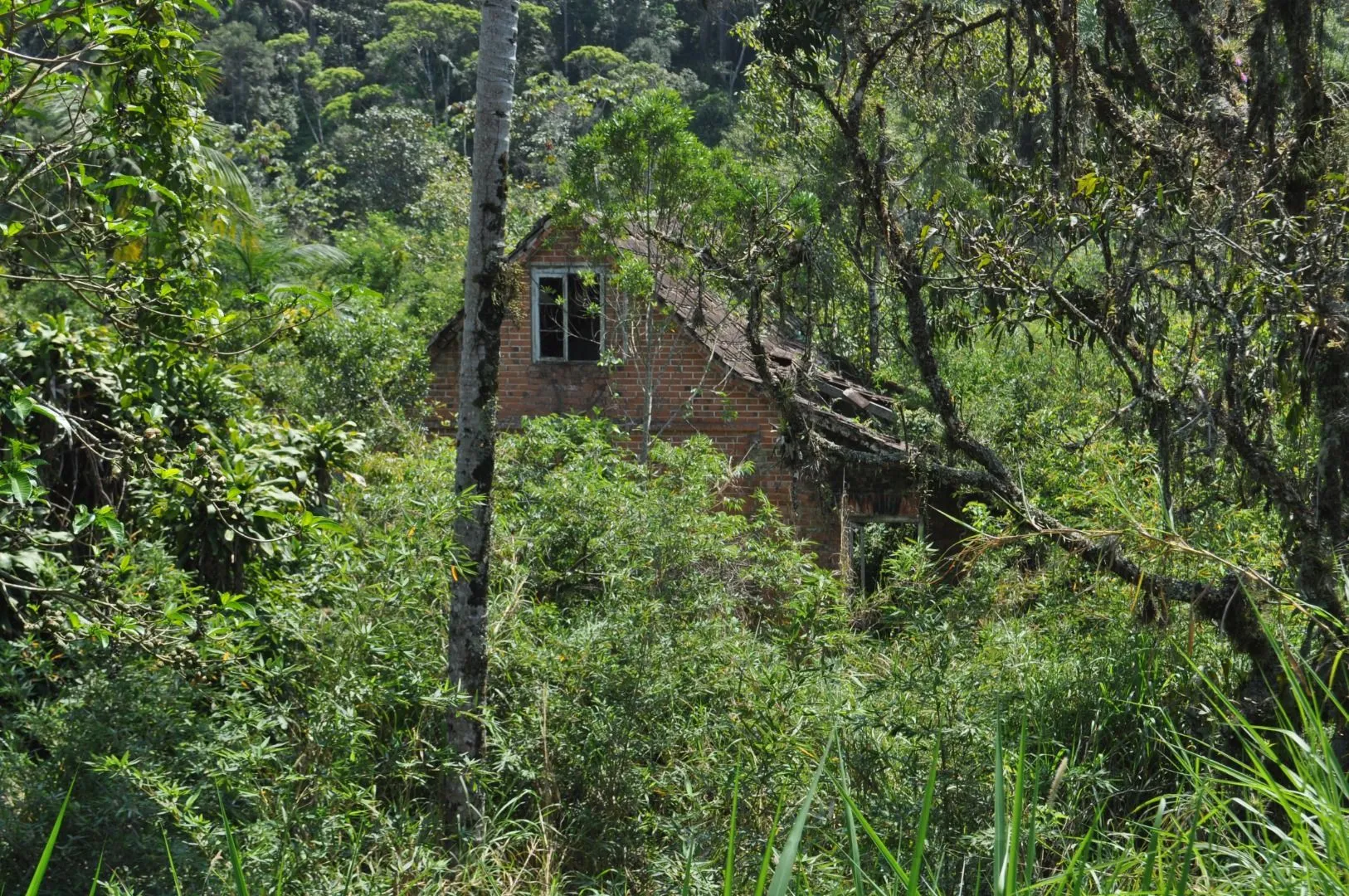 Terreno à venda com 420 m no Fidélis! — foto 5
