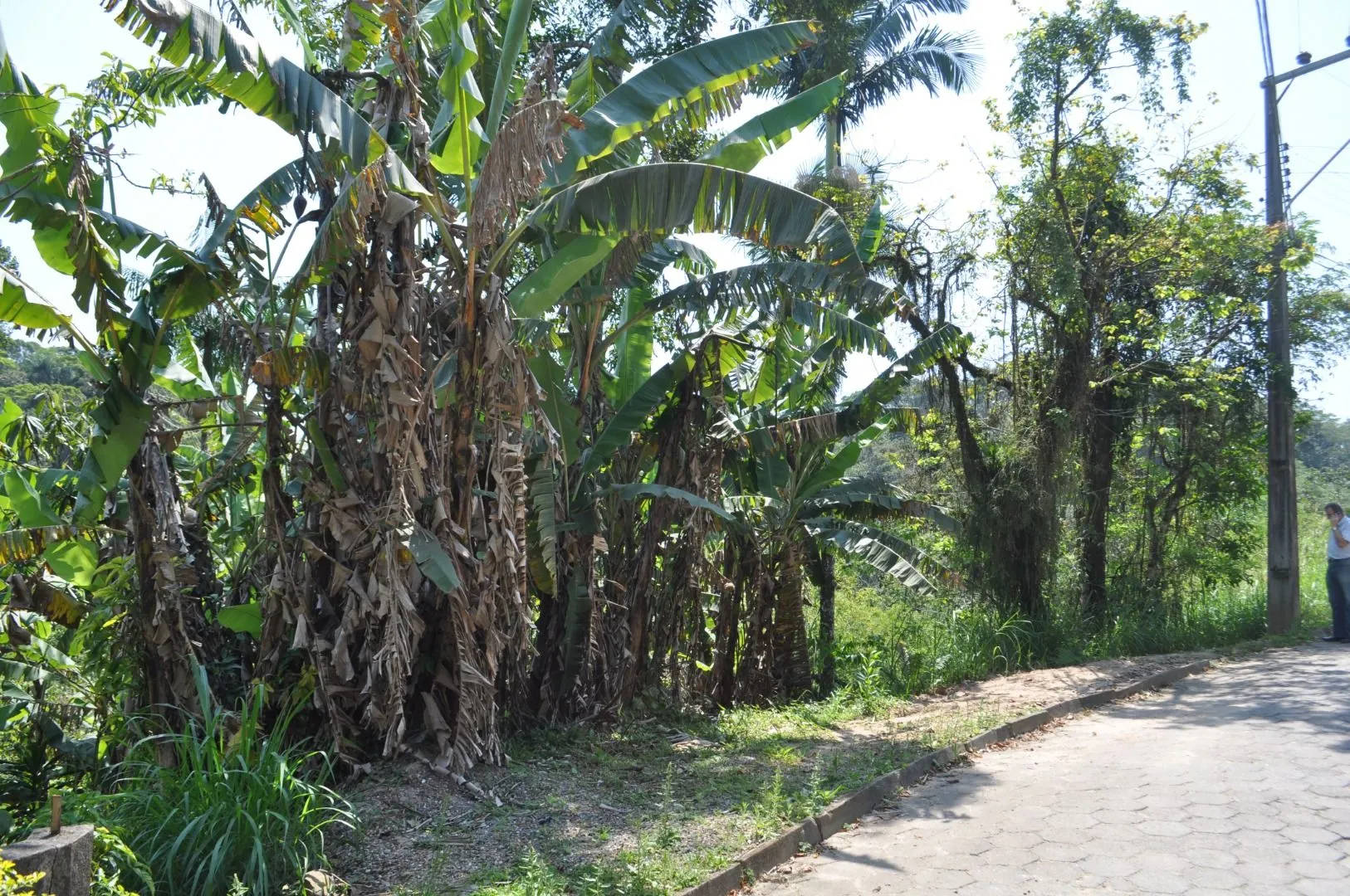 Terreno à venda com 420 m no Fidélis! — foto 7