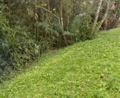Terreno à venda com 420 m no Fidélis! — foto 3