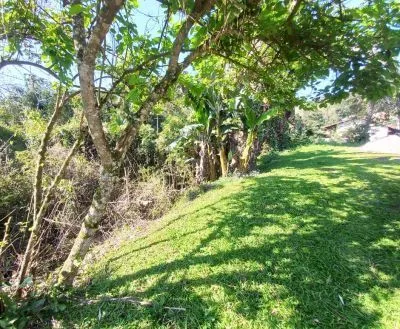 Terreno à venda com 420 m no Fidélis! — foto 6