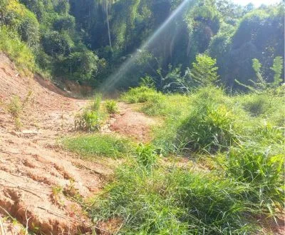 Terreno à venda com 395 m em Brusque! — foto 6