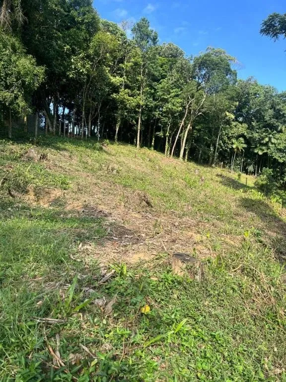 TERRENO no AMÉRICA com 0 quartos para VENDA, 1666 m — foto 2