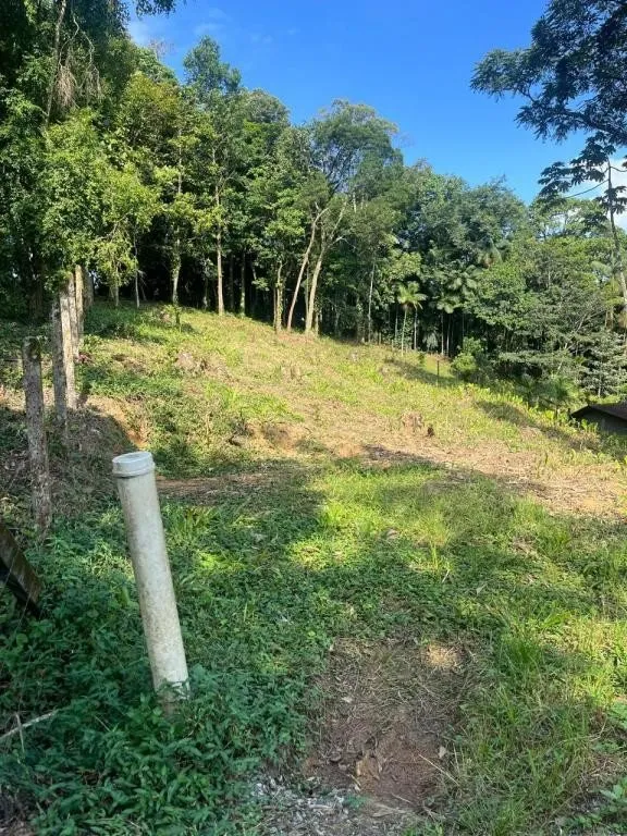 TERRENO no AMÉRICA com 0 quartos para VENDA, 1666 m — foto 3