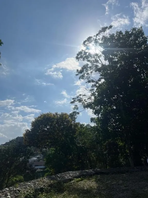 TERRENO no AMÉRICA com 0 quartos para VENDA, 1666 m — foto 5