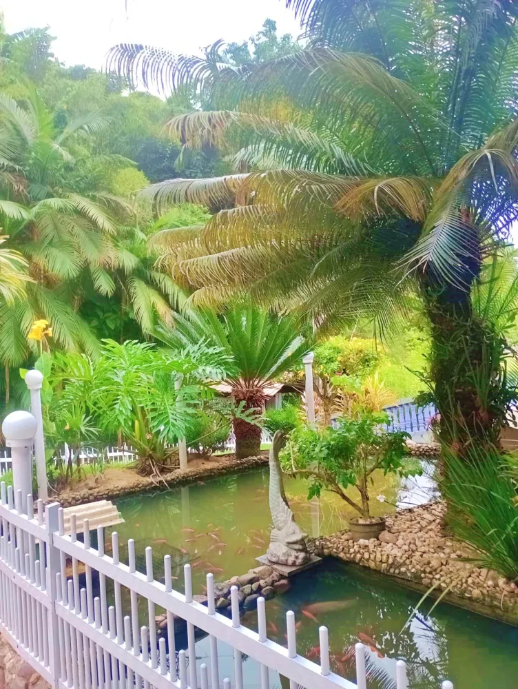 Chácara Próximo Centro de Blumenau — foto 3