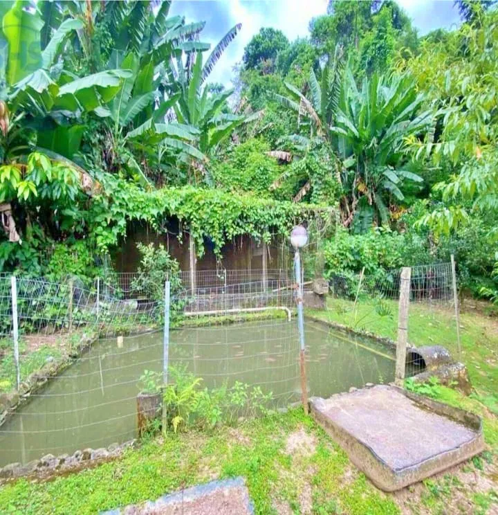 Chácara Próximo Centro de Blumenau — foto 4