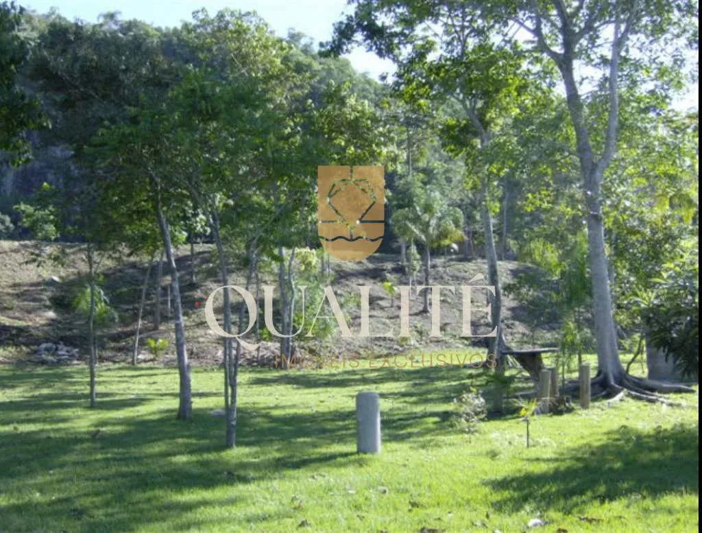 Imóvel — foto 4