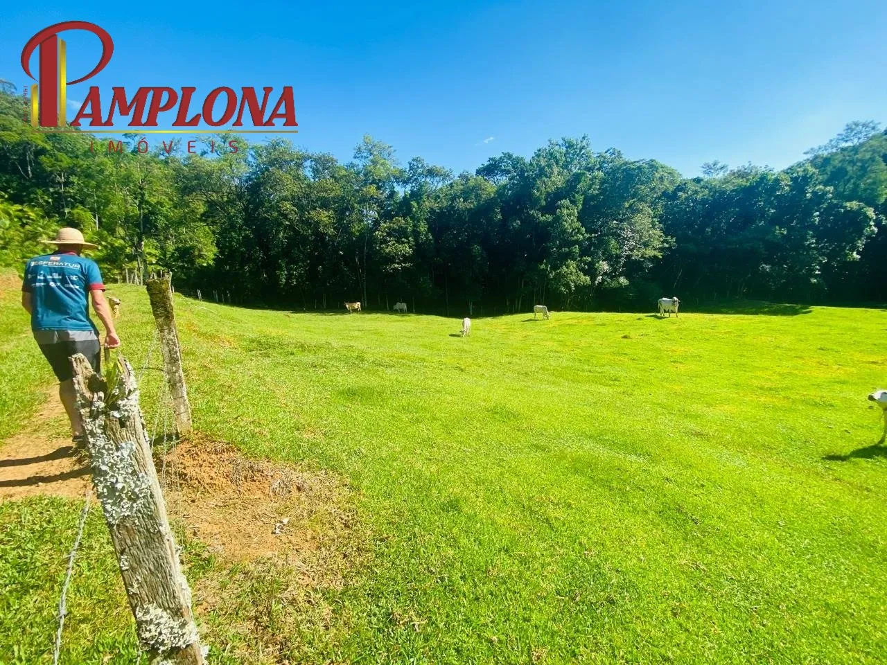 Imóvel — foto 7