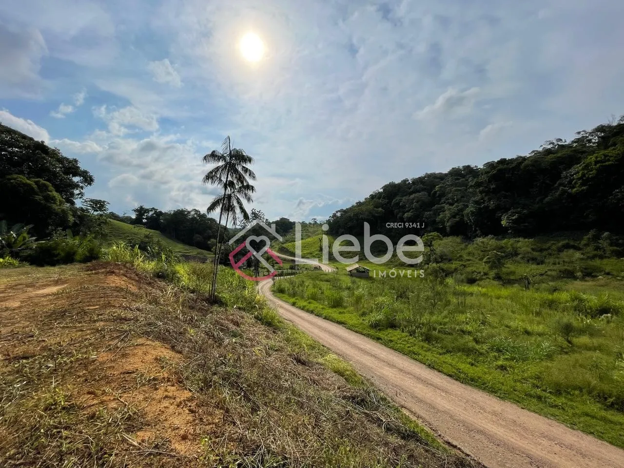 Oportunidade de Sítio com 27.500,90m no Bairro Wunderwald em Pomerode com muito verde e uma vista espetacular do pôr do sol. - foto 1