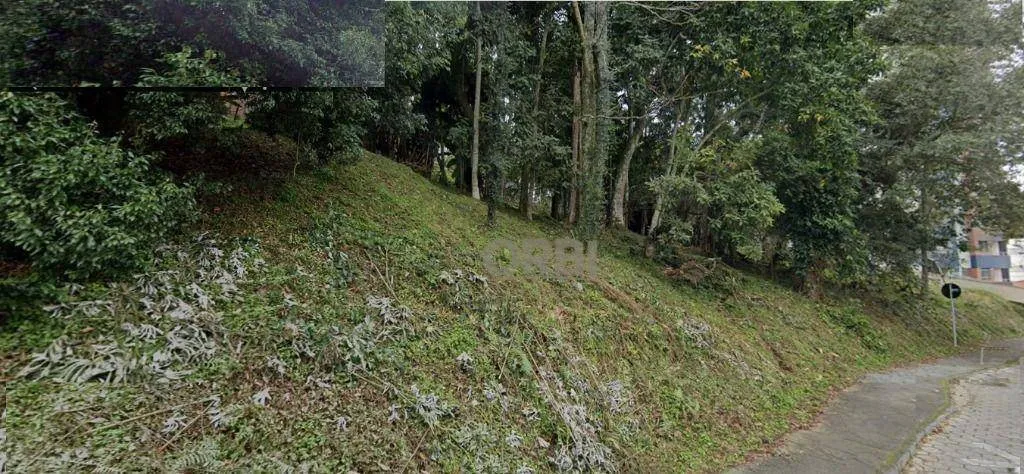 Terreno Vila Nova à venda, ZR1 c/ 3723 m por R$ 3.174.000 - Vila Nova - Blumenau/SC — foto 4