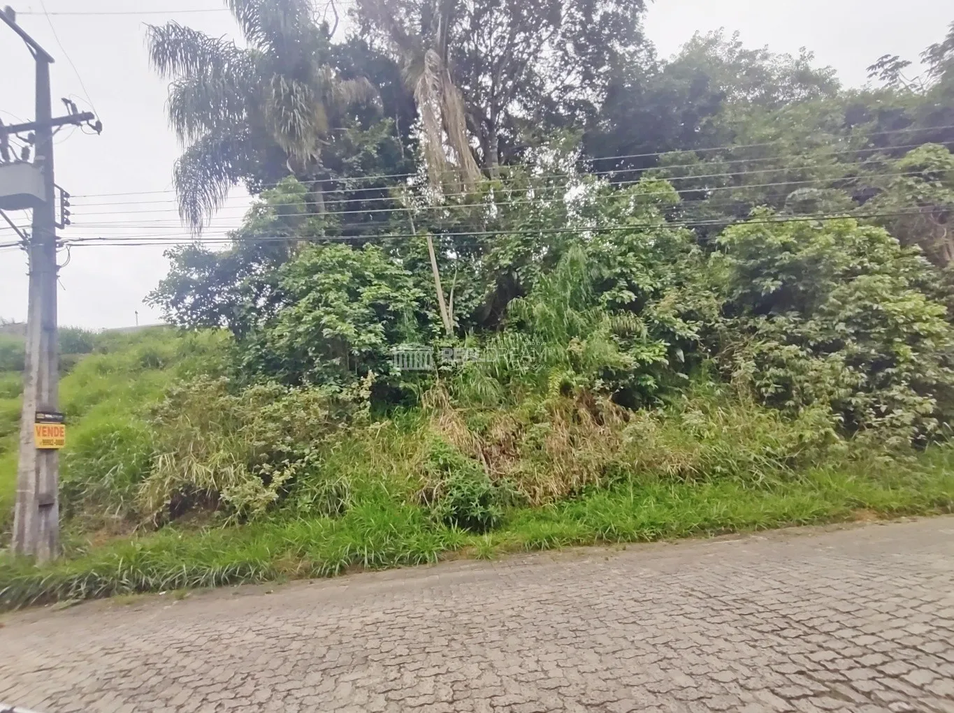 Terreno (ZR1) com 453,00 na Itoupava norte — foto 2