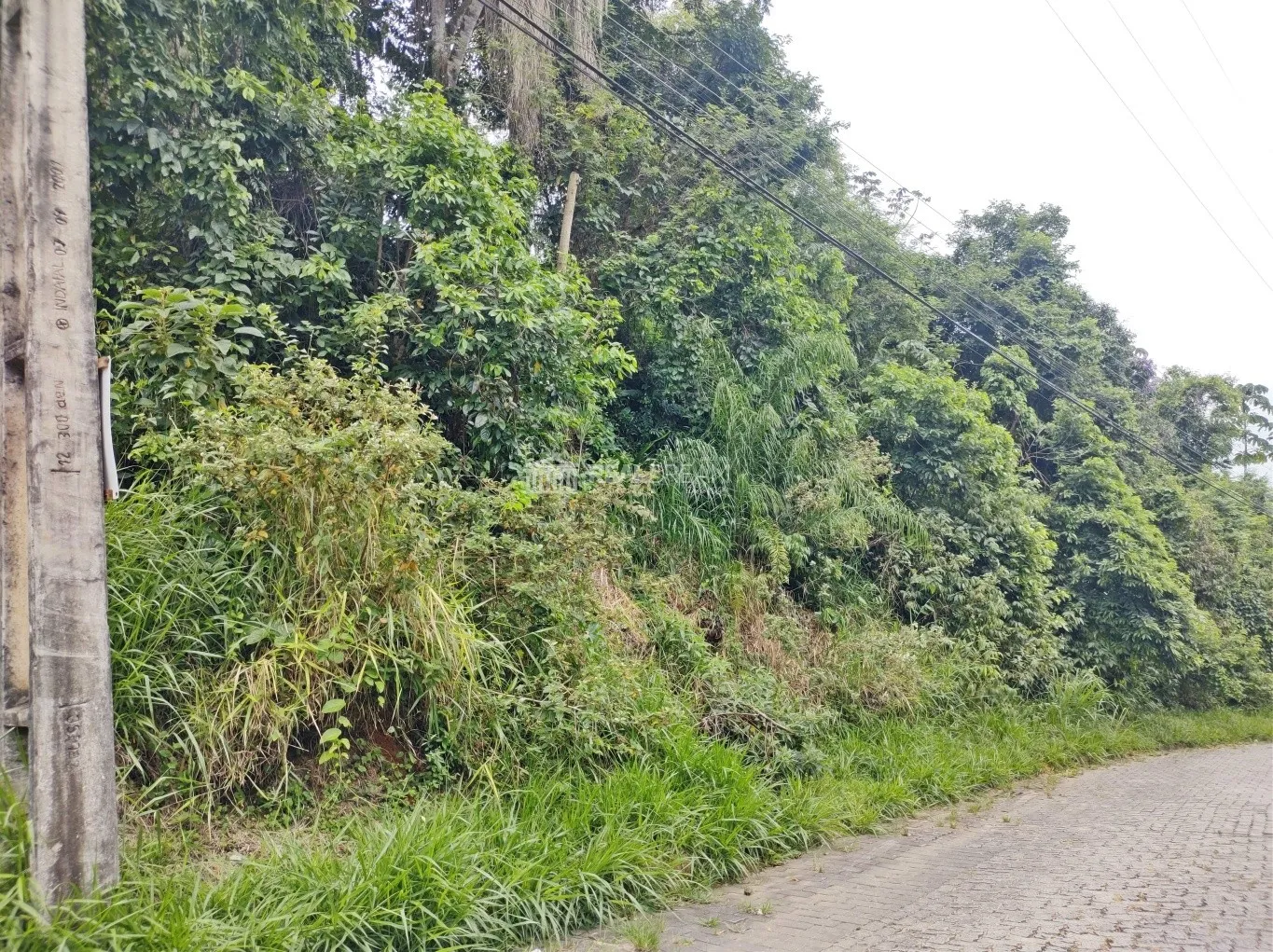 Terreno (ZR1) com 453,00 na Itoupava norte — foto 3