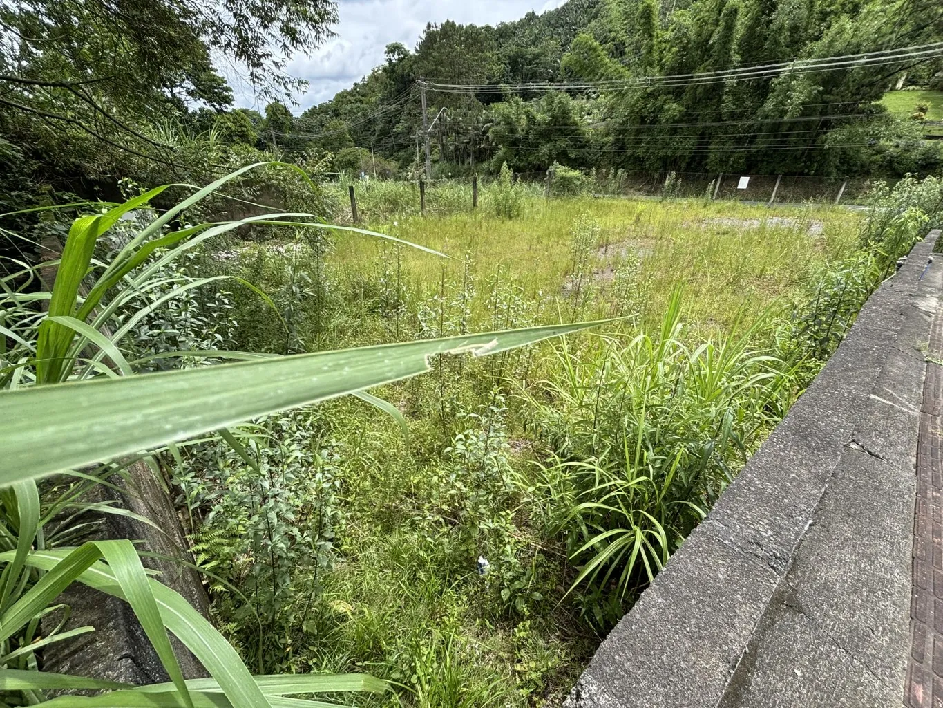 Terreno residencial ou comercial no Bairro Vila Itoupava — foto 5