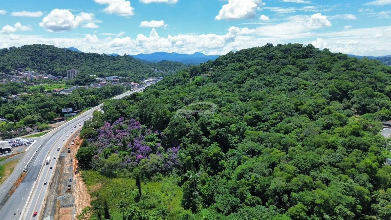 Terreno comercial com 35.106 m, fazendo frente para a BR 470 em 284 metros, e fundos em 107 metros. Terreno ideal para construção de galpão, centro comercial, loja, etc.. - foto 1