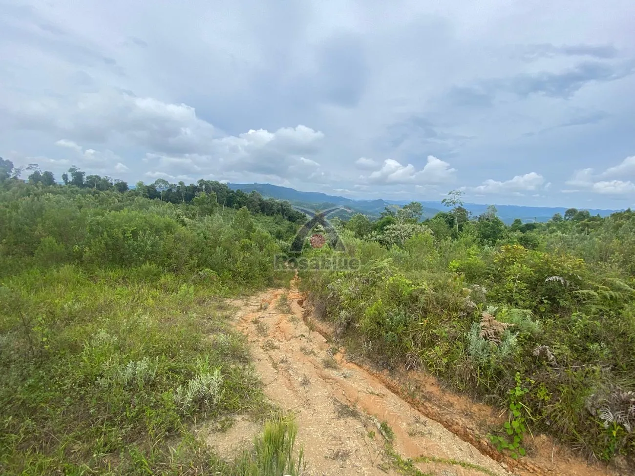 TERRENO RURAL — foto 2