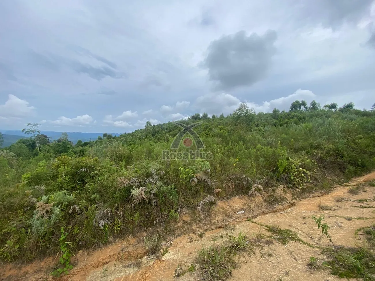 TERRENO RURAL — foto 3