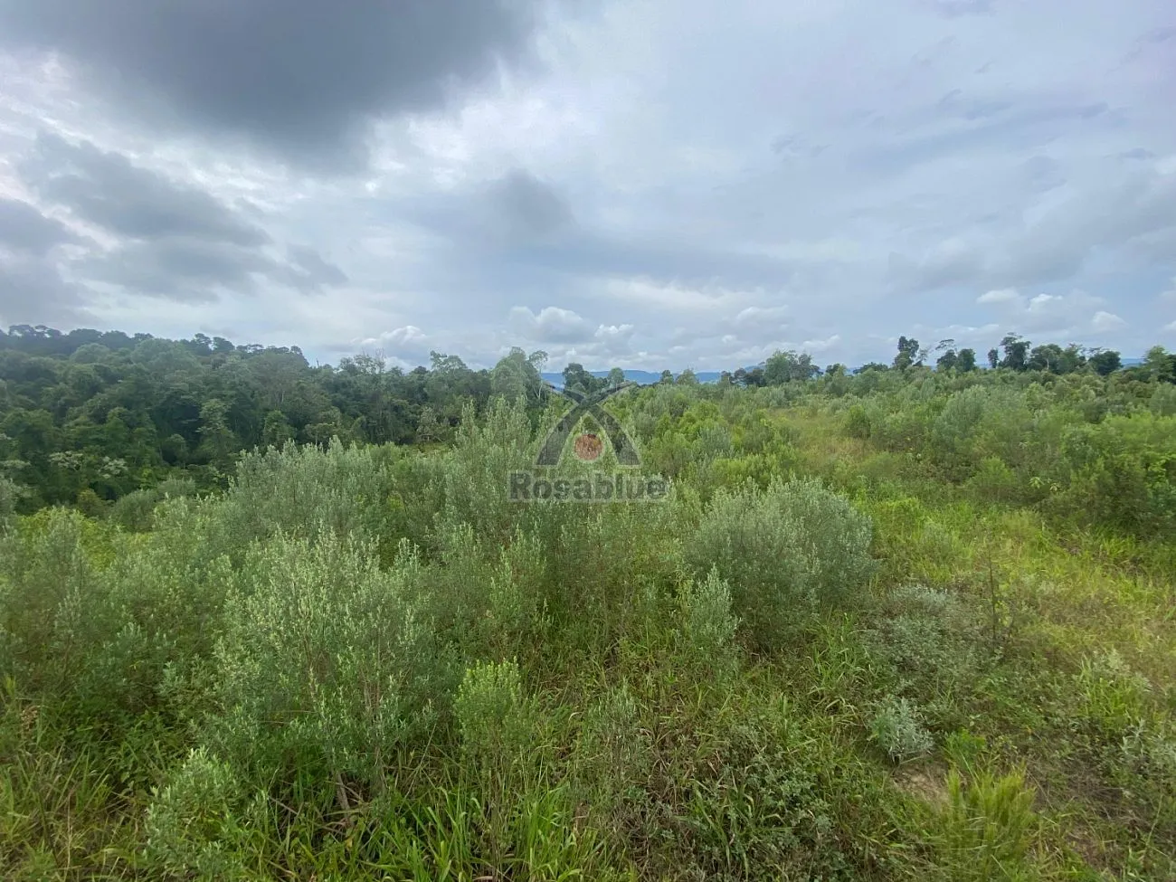 TERRENO RURAL — foto 4