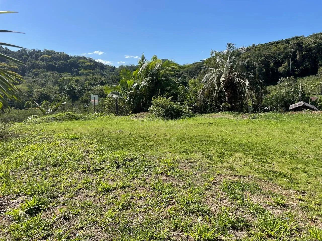 Terreno em corredor de serviço para fins comercial/residencial no bairro da Fidélis em Blumenau!!! — foto 7