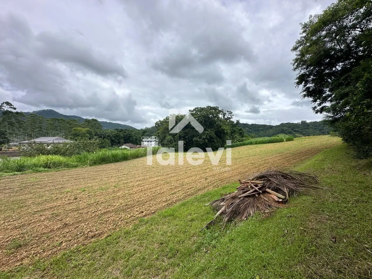 Oportunidade Única! Terreno Plano de 2.947m com Grande Potencial em Pomerode! - foto 1