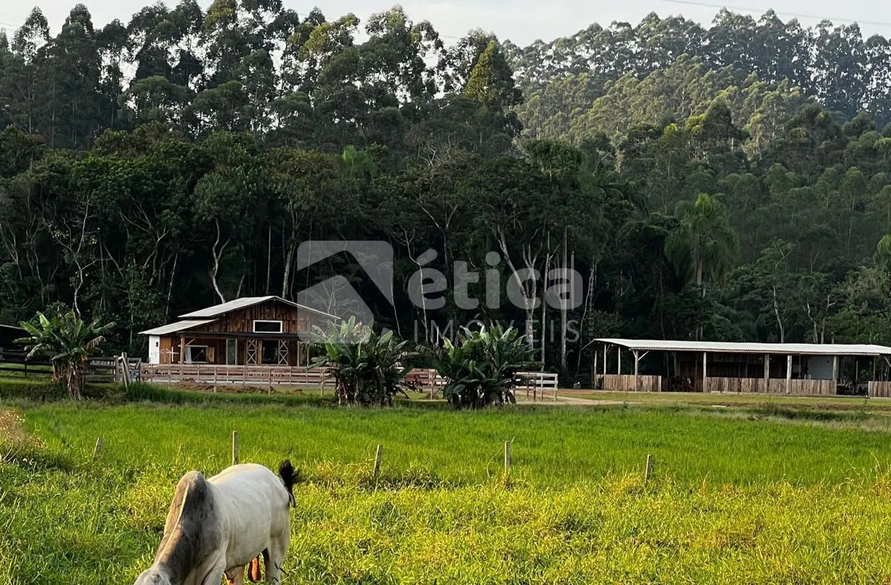 Vendo Lindo Sítio, no Boa Vista, em ILHOTA - SC — foto 2